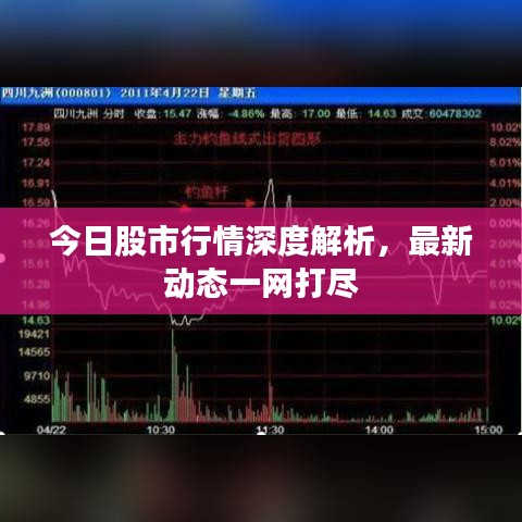 今日股市行情深度解析，最新動態(tài)一網(wǎng)打盡