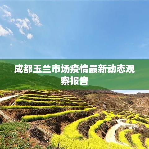 成都玉蘭市場(chǎng)疫情最新動(dòng)態(tài)觀察報(bào)告