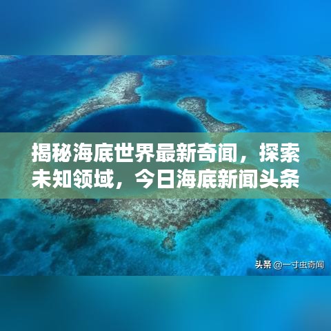 揭秘海底世界最新奇聞，探索未知領(lǐng)域，今日海底新聞?lì)^條！