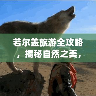 若爾蓋旅游全攻略，揭秘自然之美，暢游絕美路線！