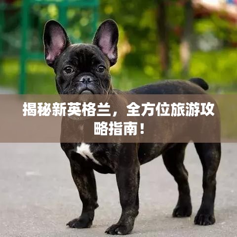 揭秘新英格蘭，全方位旅游攻略指南！