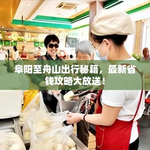 阜陽至舟山出行秘籍，最新省錢攻略大放送！