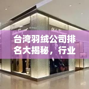 臺灣羽絨公司排名大揭秘，行業(yè)領軍者榜單全解析