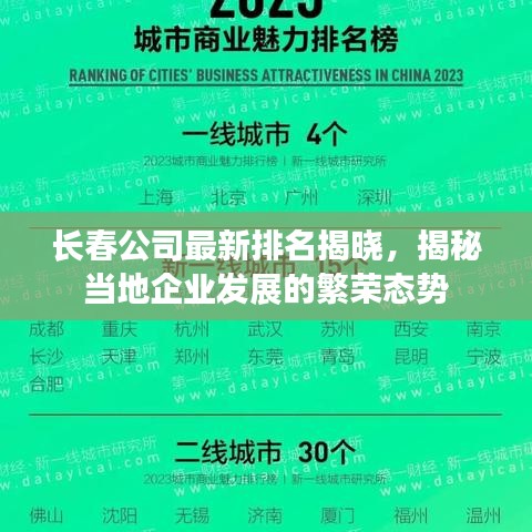 長春公司最新排名揭曉，揭秘當(dāng)?shù)仄髽I(yè)發(fā)展的繁榮態(tài)勢