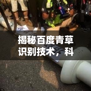 揭秘百度青草識別技術(shù)，科技與自然的無縫融合之道