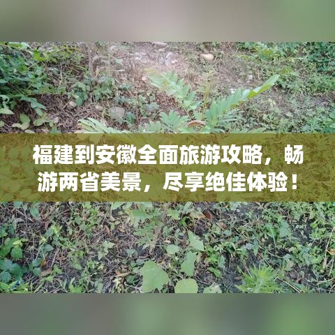 福建到安徽全面旅游攻略，暢游兩省美景，盡享絕佳體驗！