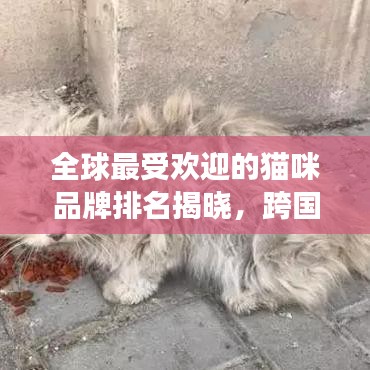 全球最受歡迎的貓咪品牌排名揭曉，跨國貓咪公司榜單重磅出爐！