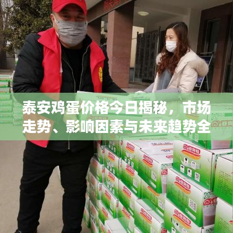 泰安雞蛋價(jià)格今日揭秘，市場(chǎng)走勢(shì)、影響因素與未來(lái)趨勢(shì)全面解析