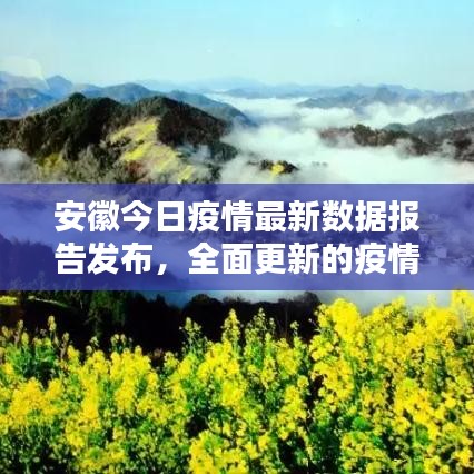 2025年5月15日 第5頁