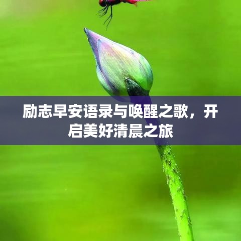 勵志早安語錄與喚醒之歌，開啟美好清晨之旅