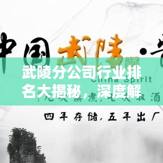 武陵分公司行業(yè)排名大揭秘，深度解析其影響力與地位！