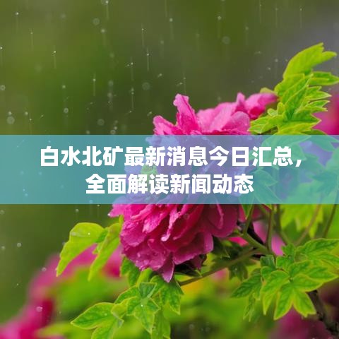 白水北礦最新消息今日匯總，全面解讀新聞動(dòng)態(tài)