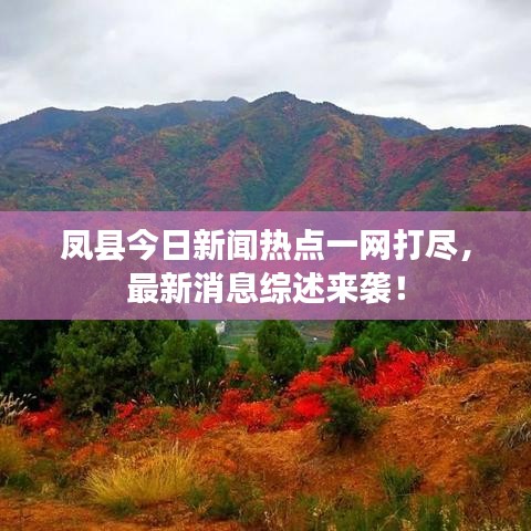 鳳縣今日新聞熱點一網(wǎng)打盡，最新消息綜述來襲！