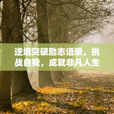 逆境突破勵志語錄，挑戰(zhàn)自我，成就非凡人生之路