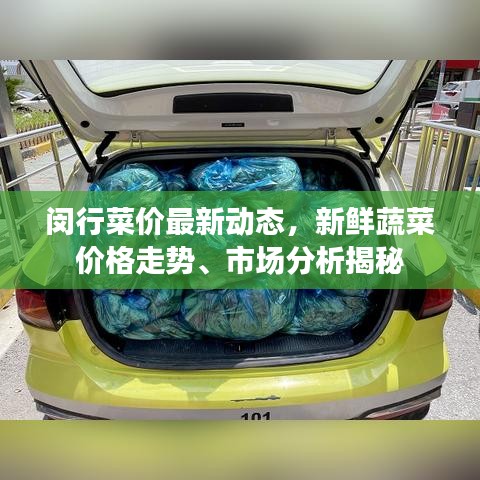 閔行菜價(jià)最新動(dòng)態(tài)，新鮮蔬菜價(jià)格走勢(shì)、市場(chǎng)分析揭秘