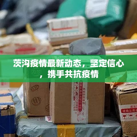 茨溝疫情最新動(dòng)態(tài)，堅(jiān)定信心，攜手共抗疫情