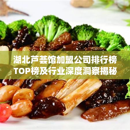 湖北蘆薈館加盟公司排行榜TOP榜及行業(yè)深度洞察揭秘！
