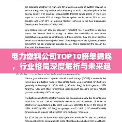 電力燃料公司TOP10榜單揭曉，行業(yè)格局深度解析與未來趨勢展望