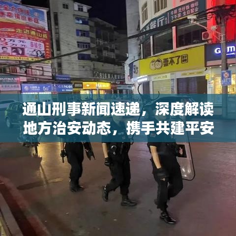 通山刑事新聞速遞，深度解讀地方治安動(dòng)態(tài)，攜手共建平安社會(huì)