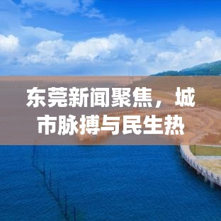 東莞新聞聚焦，城市脈搏與民生熱點(diǎn)關(guān)注