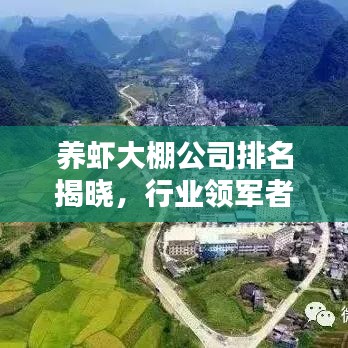 養(yǎng)蝦大棚公司排名揭曉，行業(yè)領(lǐng)軍者榜單探尋