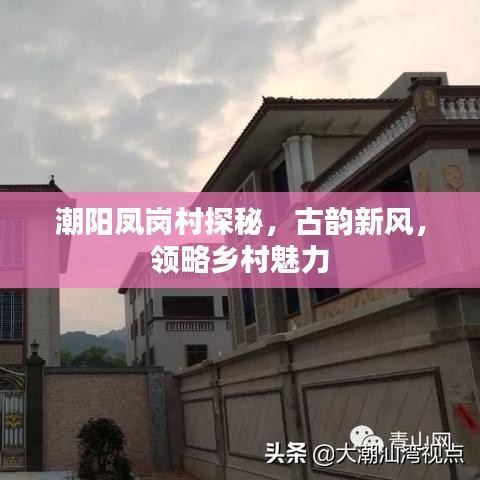 潮陽鳳崗村探秘，古韻新風(fēng)，領(lǐng)略鄉(xiāng)村魅力