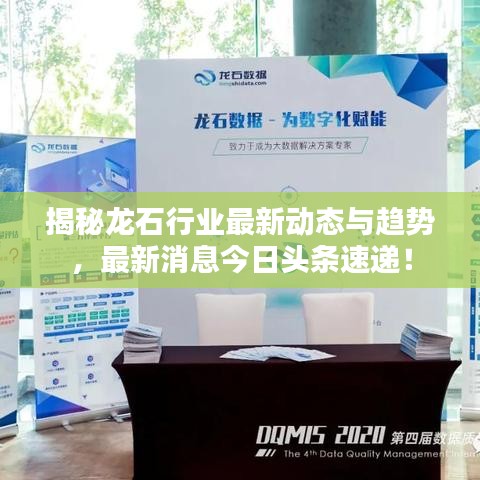 揭秘龍石行業(yè)最新動(dòng)態(tài)與趨勢，最新消息今日頭條速遞！