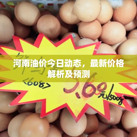 河南油價今日動態(tài)，最新價格解析及預(yù)測