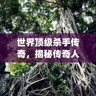 世界頂級(jí)殺手傳奇，揭秘傳奇人物的神秘背景與故事