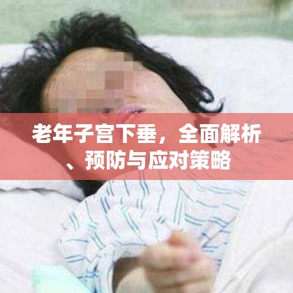 老年子宮下垂，全面解析、預(yù)防與應(yīng)對策略
