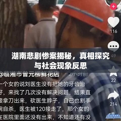 湖南悲劇慘案揭秘，真相探究與社會現(xiàn)象反思