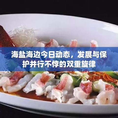 海鹽海邊今日動態(tài)，發(fā)展與保護(hù)并行不悖的雙重旋律