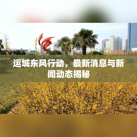 運城東風行動，最新消息與新聞動態(tài)揭秘