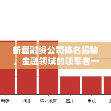 新疆融資公司排名揭秘，金融領(lǐng)域的領(lǐng)軍者一覽表