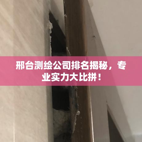 邢臺測繪公司排名揭秘，專業(yè)實力大比拼！