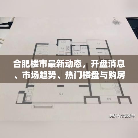 合肥樓市最新動(dòng)態(tài)，開盤消息、市場(chǎng)趨勢(shì)、熱門樓盤與購(gòu)房指南