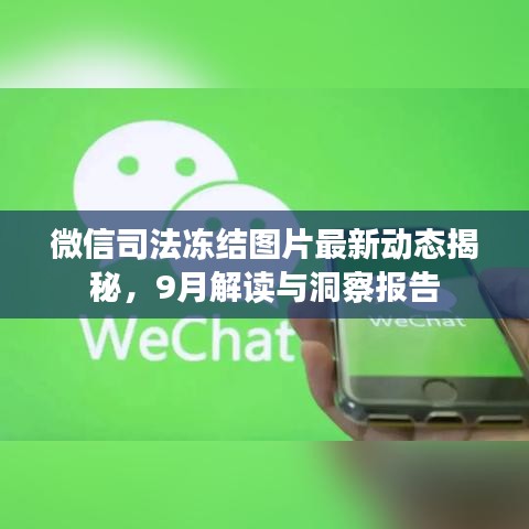 微信司法凍結(jié)圖片最新動(dòng)態(tài)揭秘，9月解讀與洞察報(bào)告