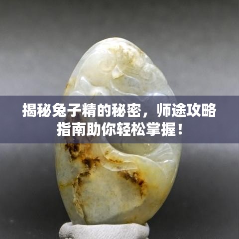 揭秘兔子精的秘密，師途攻略指南助你輕松掌握！