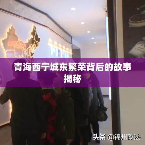 青海西寧城東繁榮背后的故事揭秘