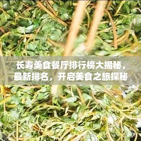 長壽美食餐廳排行榜大揭秘，最新排名，開啟美食之旅探秘之旅！