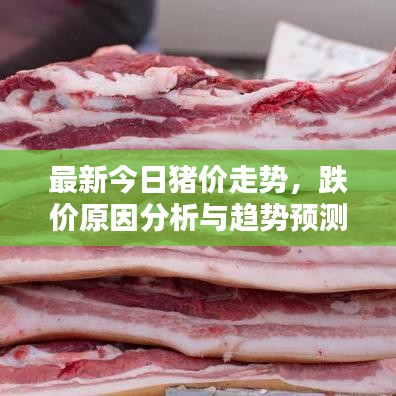 最新今日豬價走勢，跌價原因分析與趨勢預(yù)測