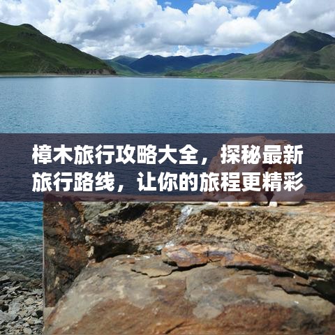 狗尾續(xù)貂