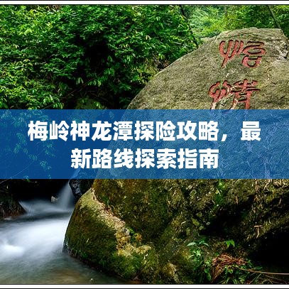 梅嶺神龍?zhí)短诫U攻略，最新路線探索指南
