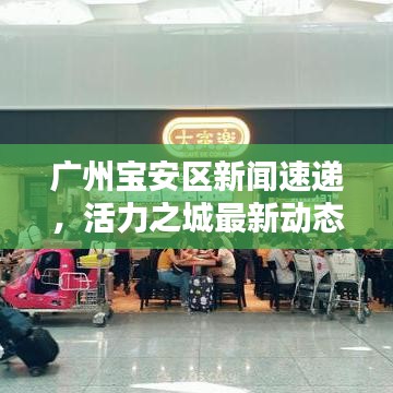 廣州寶安區(qū)新聞速遞，活力之城最新動態(tài)揭秘