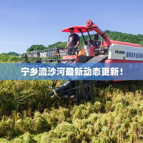 生離死別