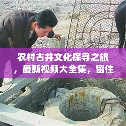 鳥入樊籠