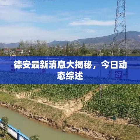德安最新消息大揭秘，今日動(dòng)態(tài)綜述