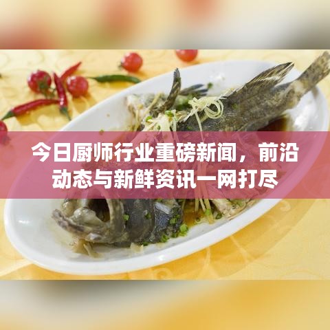 光明磊落