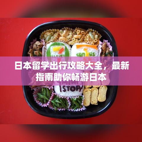 采椽不斫