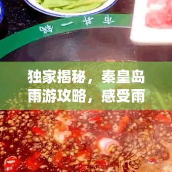 窮鳥入懷
